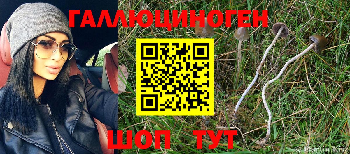 Псилоцибиновые грибы Psilocybine cubensis  Вход с VPN  Псилоцибиновые грибы MAGIC MUSHROOMS  Лыткарино 